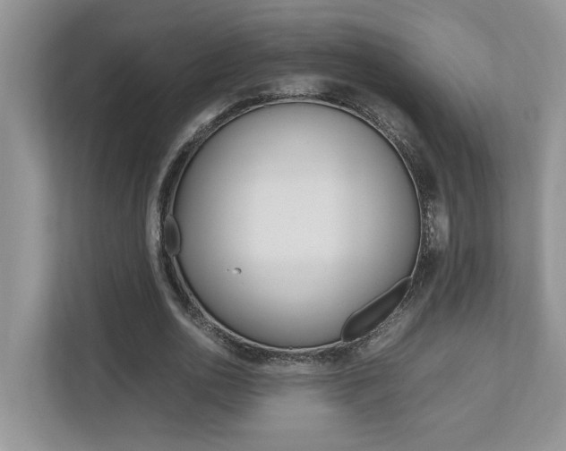 X0000112490726200908170950