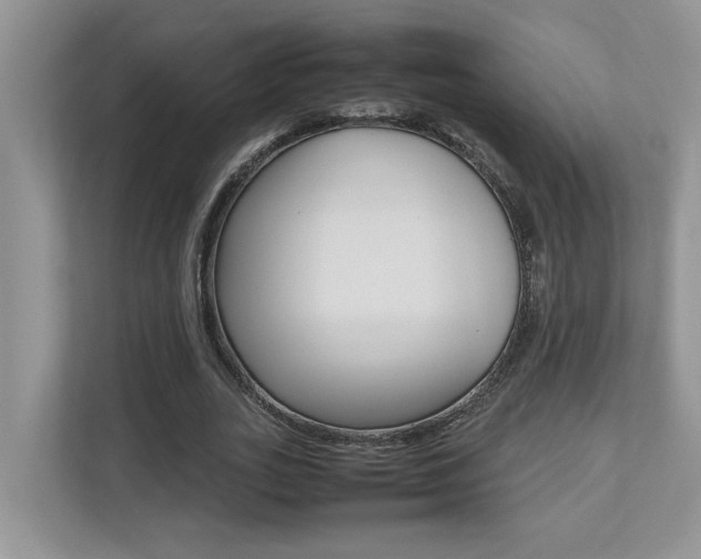 X0000112490727200908170950