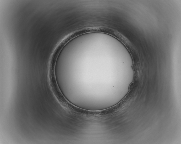 X0000112490728200908170951