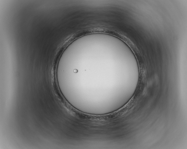 X0000112490729200908170951