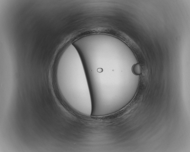 X0000112490734200908170951