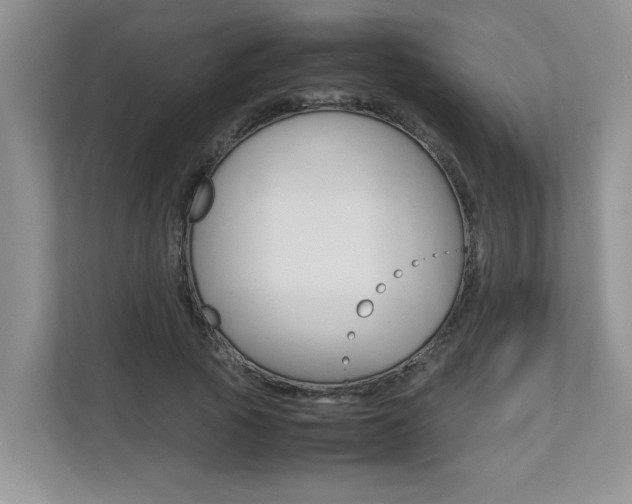 X0000112490737200908170951