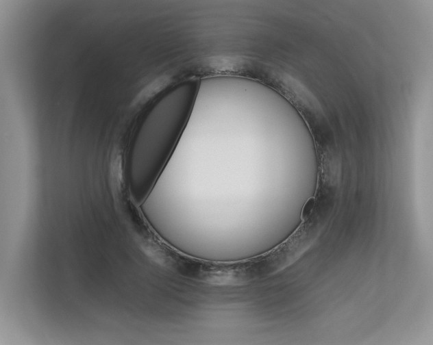 X0000112490740200908170951