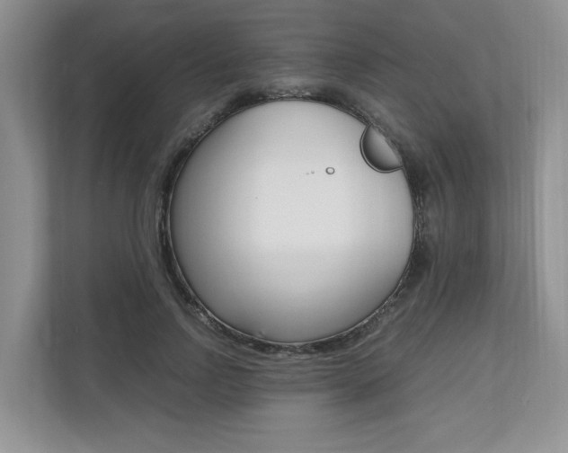 X0000112490742200908170951