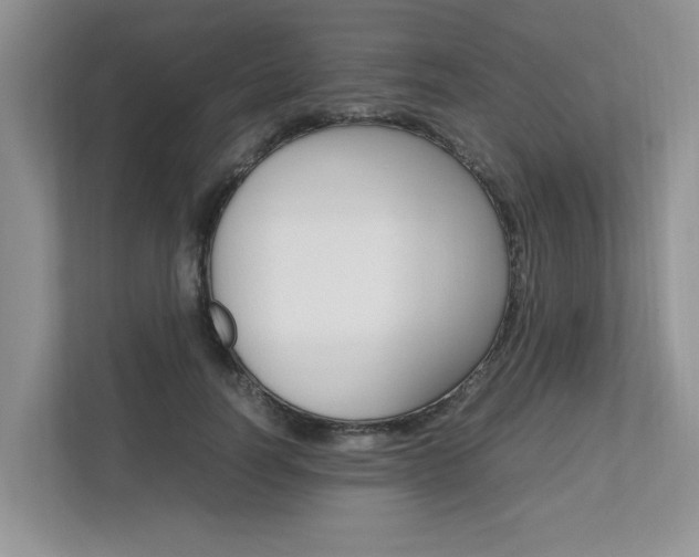 X0000112490746200908170951