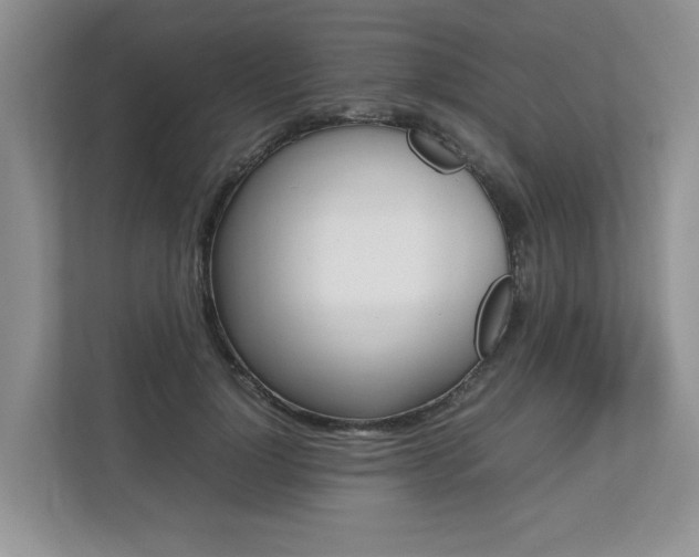 X0000112490748200908170951