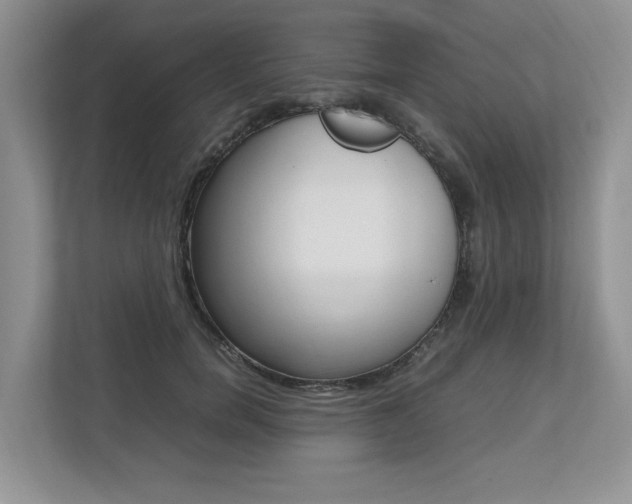 X0000112490750200908170951