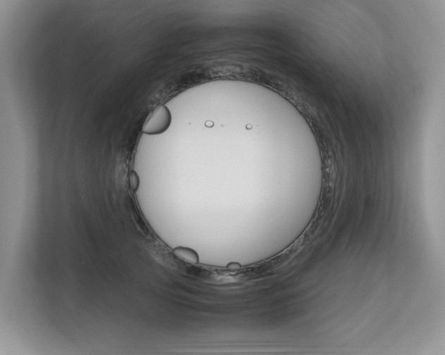 X0000112490753200908170951