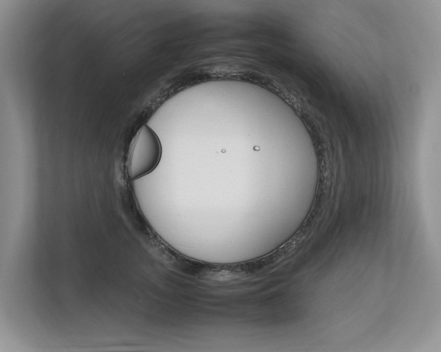 X0000112490755200908170951