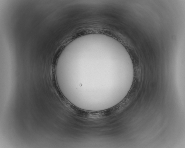 X0000112490757200908170951