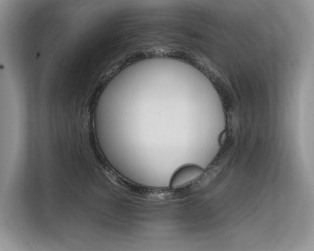 X0000112490760200908170951