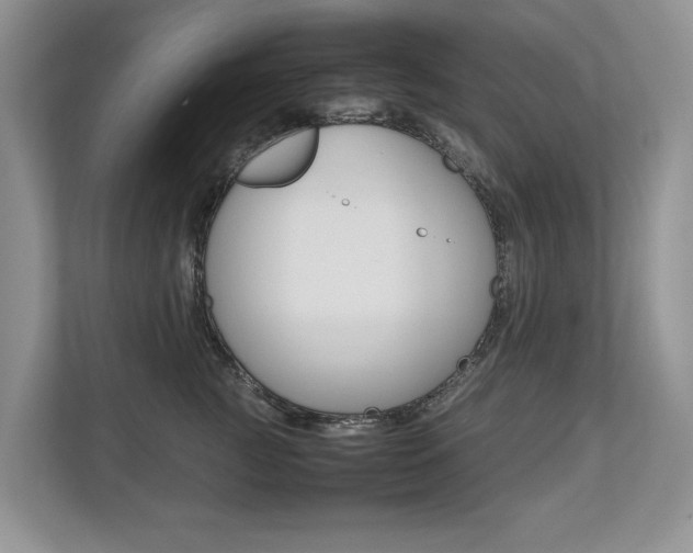 X0000112490761200908170951
