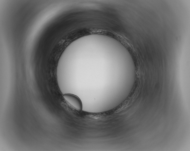 X0000112490763200908170951