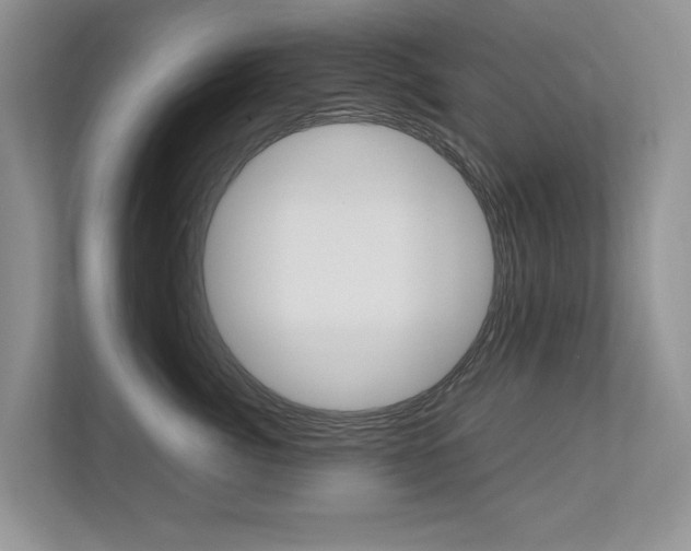 X0000112490764200908170951