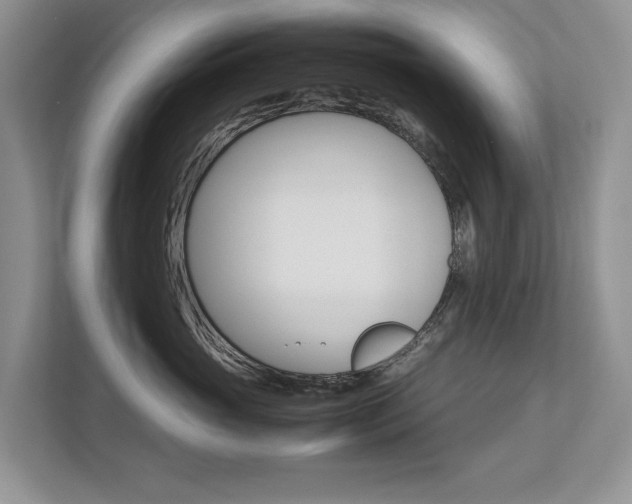 X0000112490765200908170951