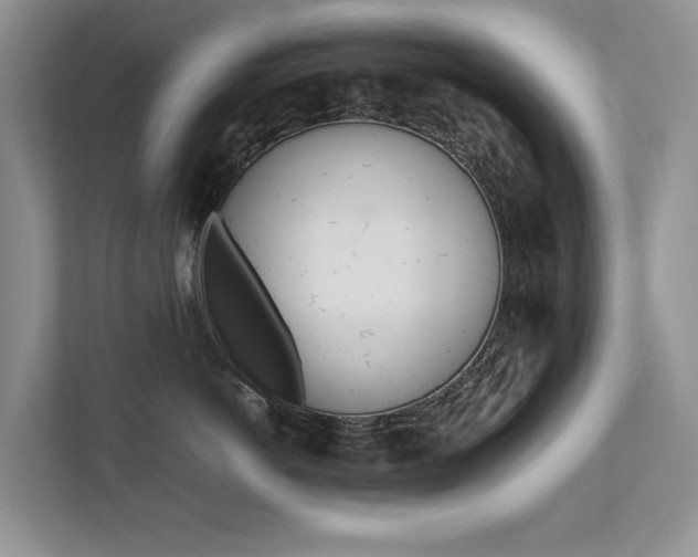X0000112490766200908170951