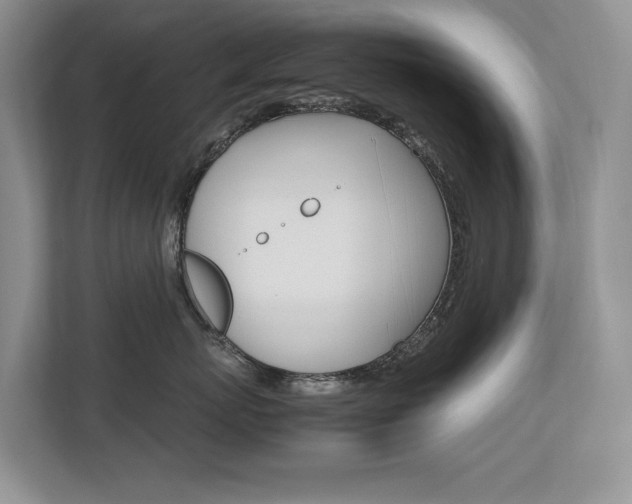 X0000112490767200908170951