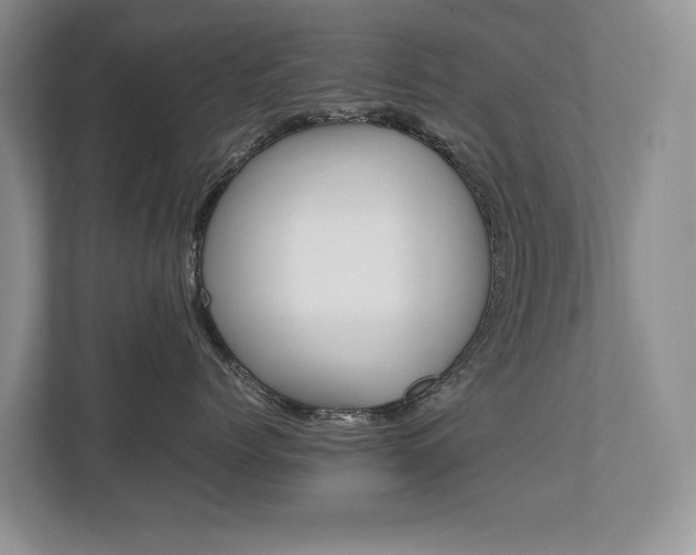 X0000112490768200908170951