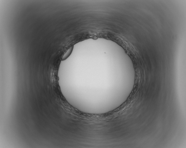 X0000112490770200908170950