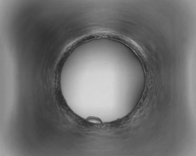 X0000112490775200908170950