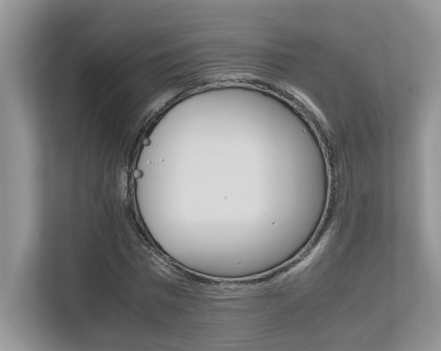 X0000112490777200908170950