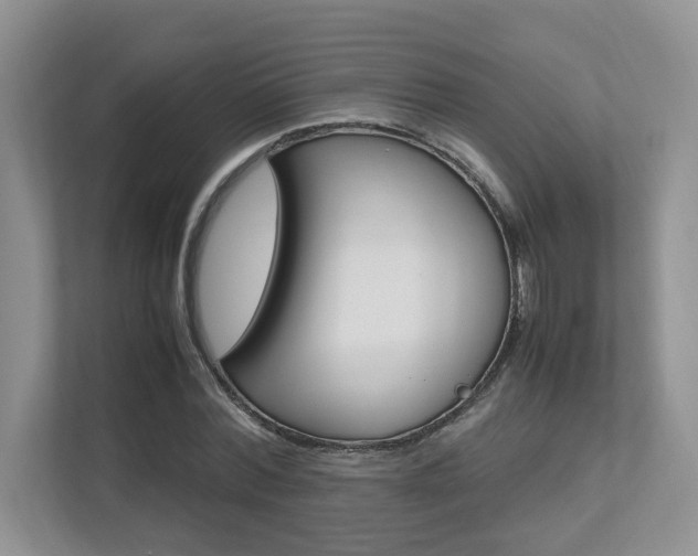 X0000112490780200908170950