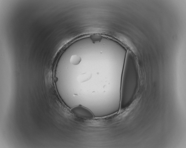 X0000112490781200908170950
