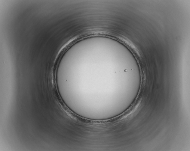X0000112490782200908170950