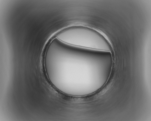 X0000112490783200908170950