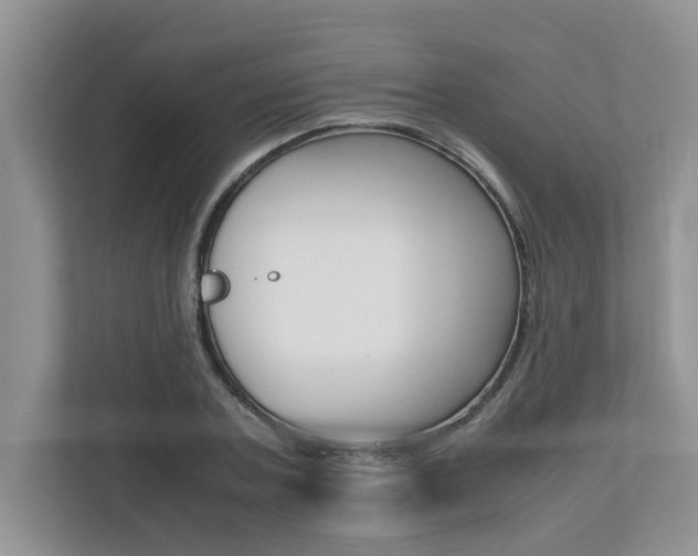 X0000112490787200908170950