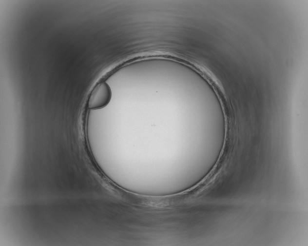 X0000112490789200908170950