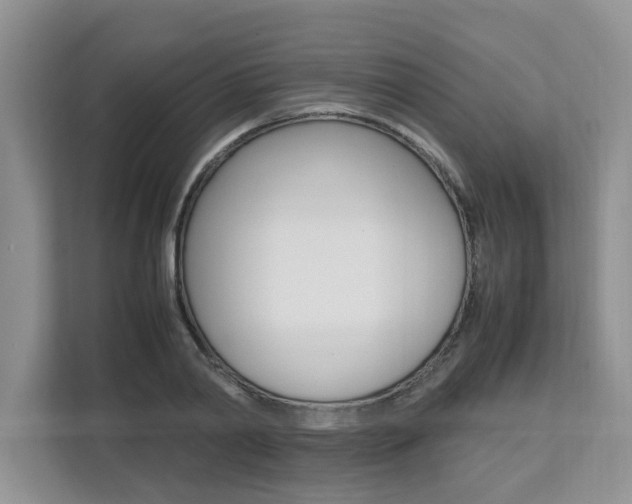 X0000112490790200908170950