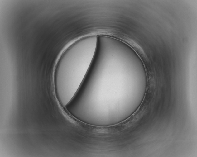 X0000112490792200908170950