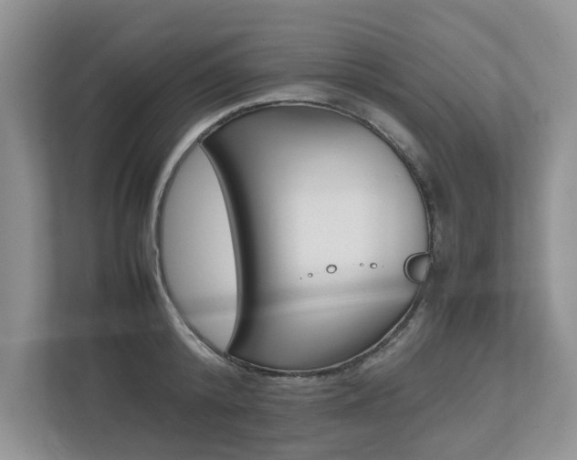 X0000112490800200908170950