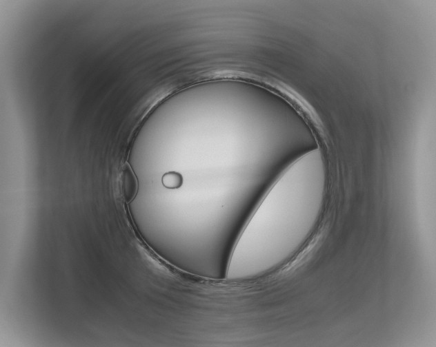 X0000112490801200908170950