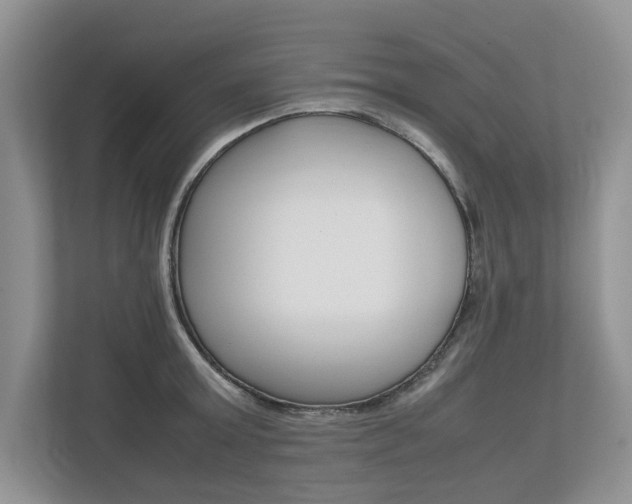 X0000112490803200908170950
