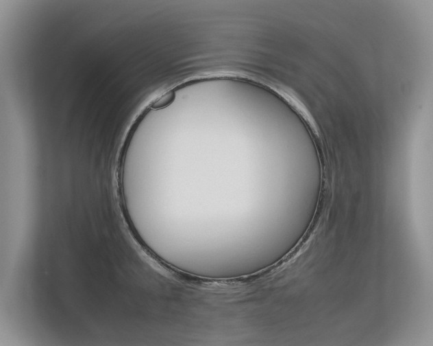 X0000112490805200908170950