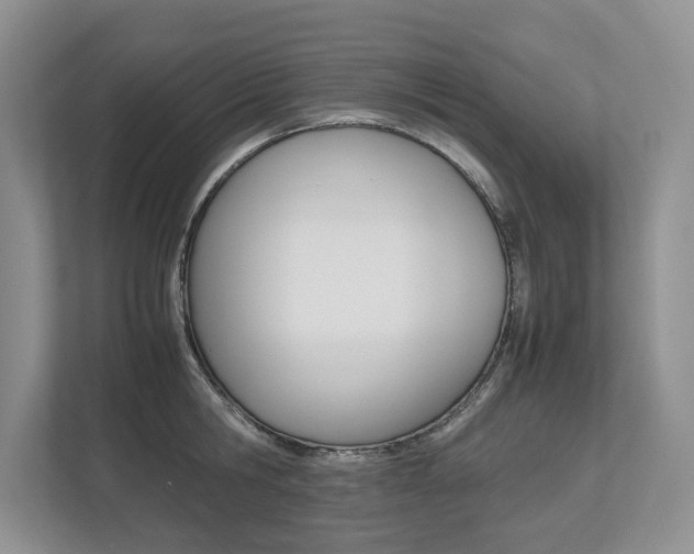 X0000112490806200908170950