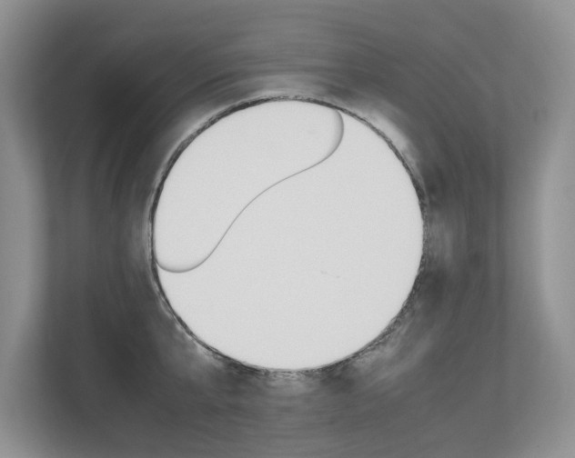 X0000112490807200908170950