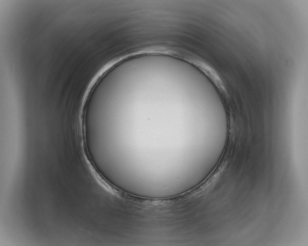 X0000112490808200908170950