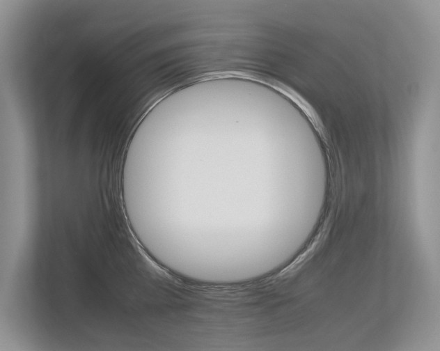 X0000112490809200908170950