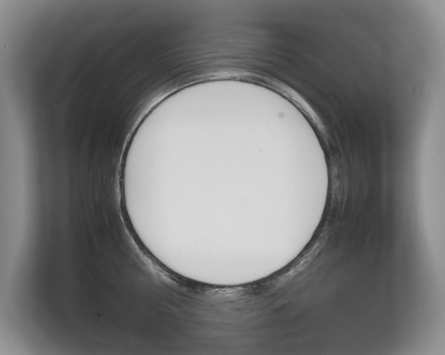 X0000112490810200908170950