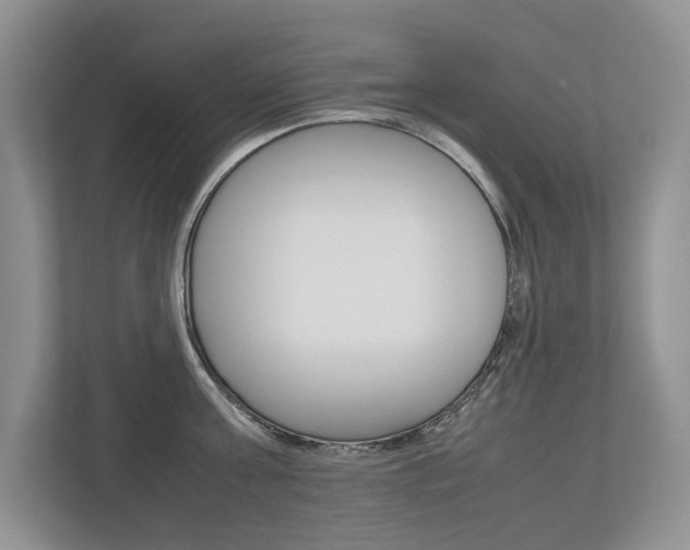 X0000112490811200908170950