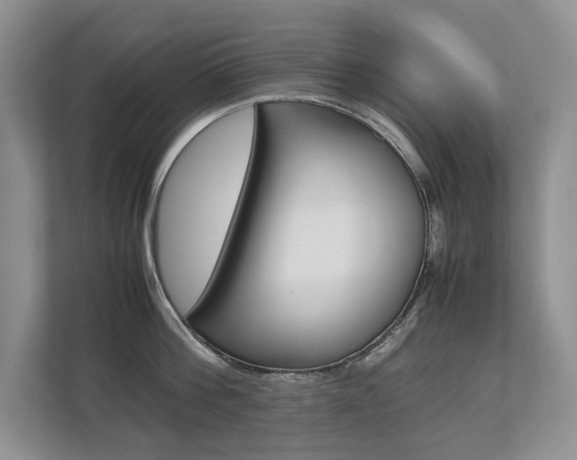 X0000112490812200908170950