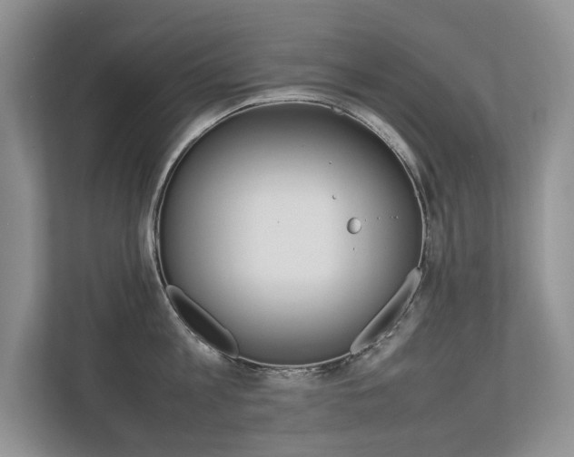 X0000112490813200908170950