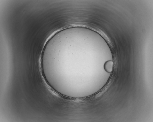 X0000112490814200908170950