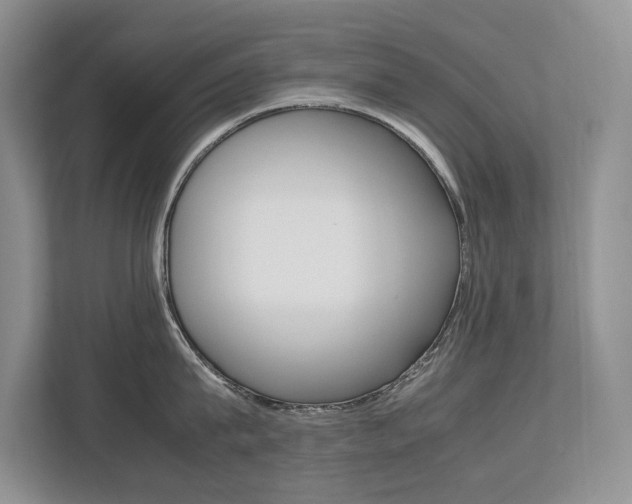 X0000112490815200908170950