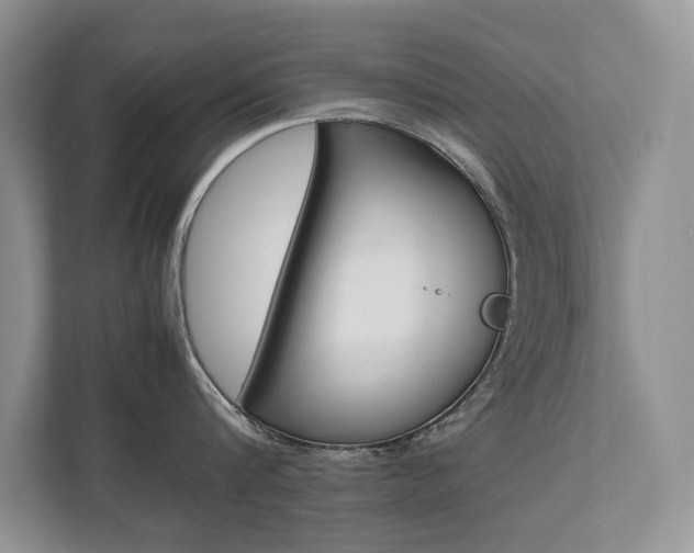X0000112490816200908170950