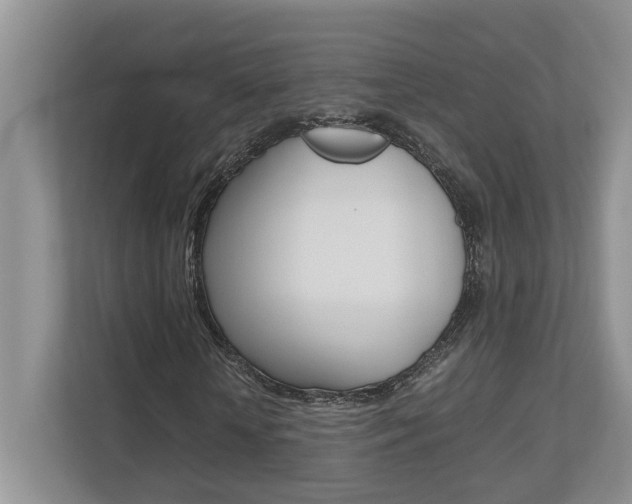 X0000112490818200908170949