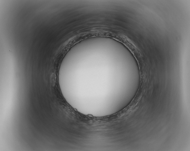 X0000112490821200908170949